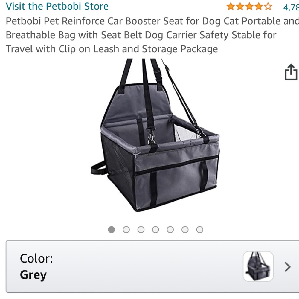 Puppy car booster